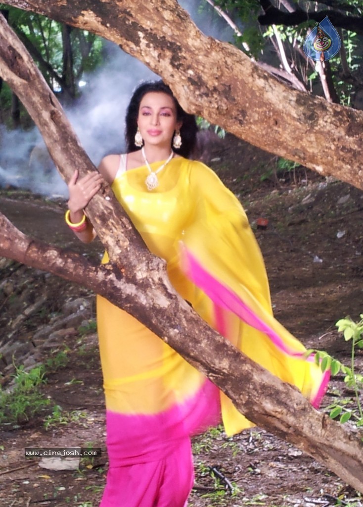 Flora Saini Stills in Akasamlo Sagam - 2 / 14 photos