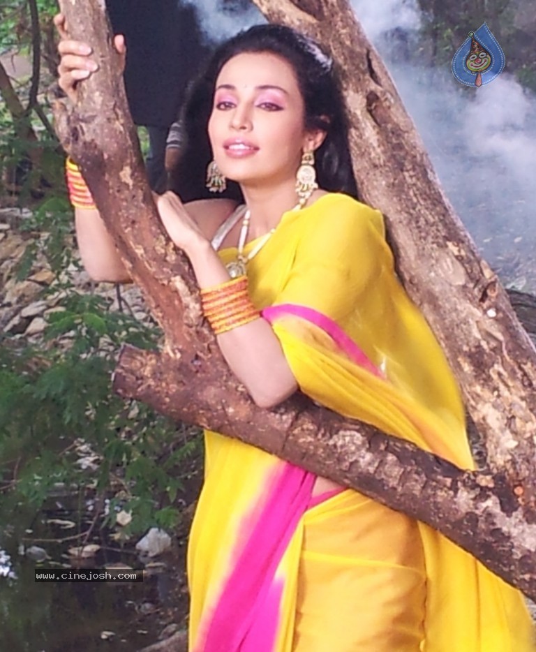 Flora Saini Stills in Akasamlo Sagam - 6 / 14 photos