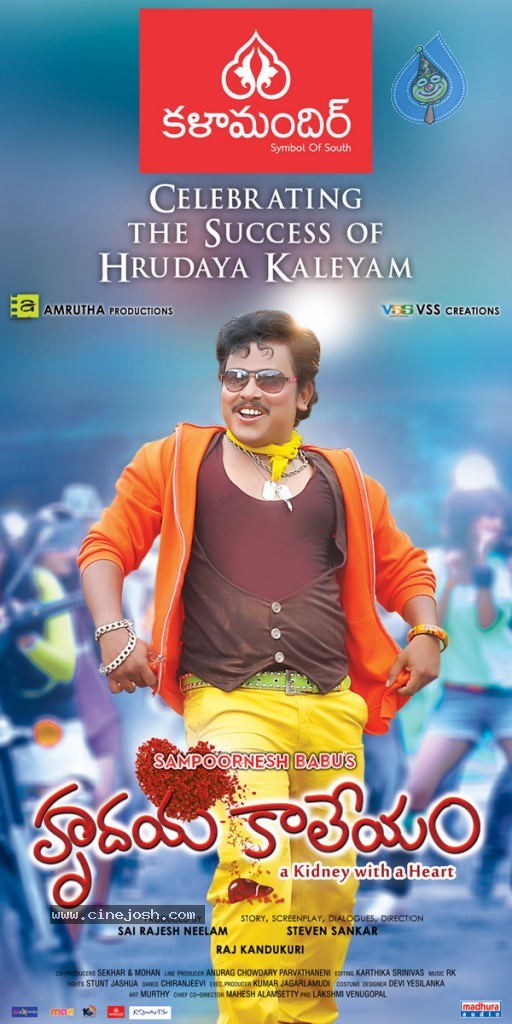 Hrudaya Kaleyam Success Designs - 1 / 3 photos