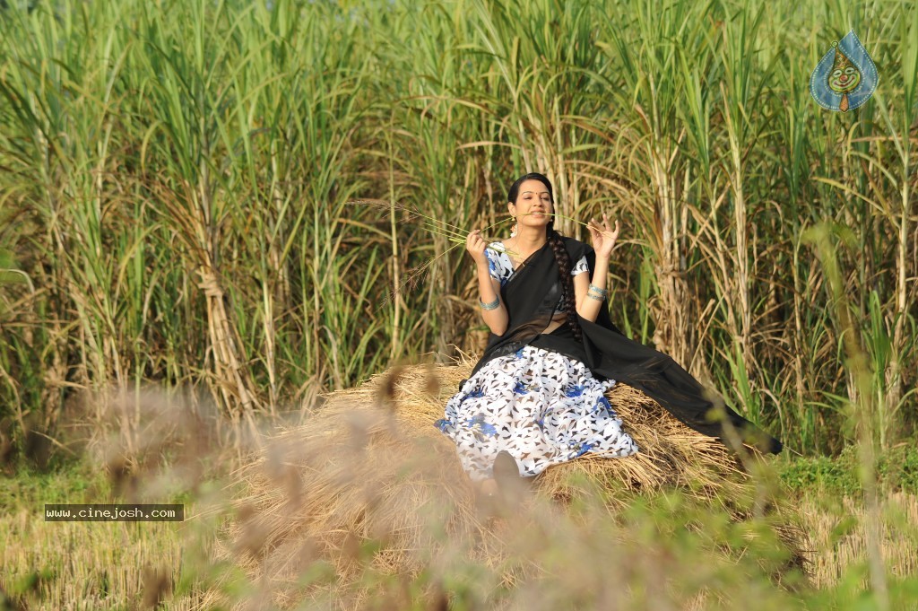 Kavvintha Movie Stills - 9 / 9 photos