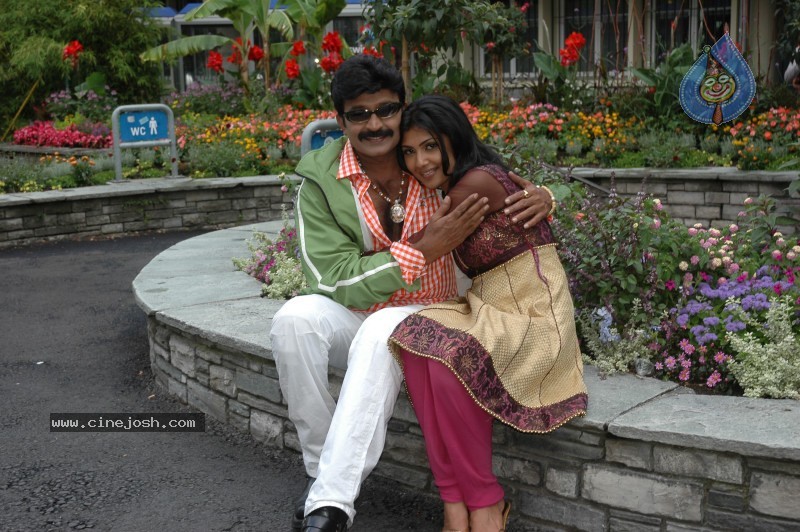 Maa Annayya Bangaram Movie Gallery - 6 / 75 photos