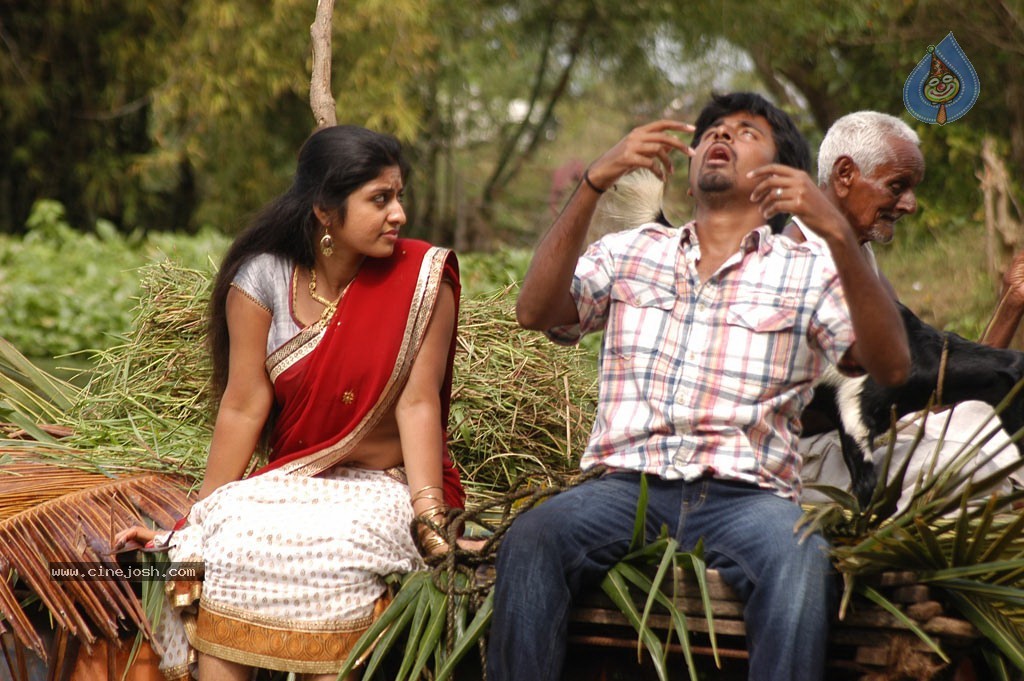 Paravai Paravai