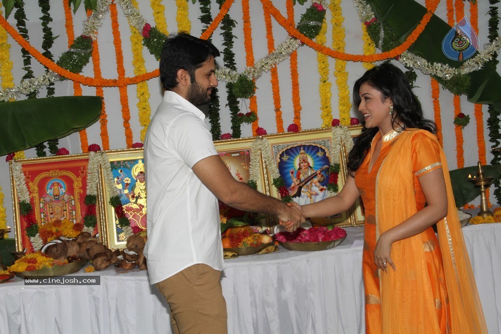 Nitin New Movie Launch - 10 / 13 photos