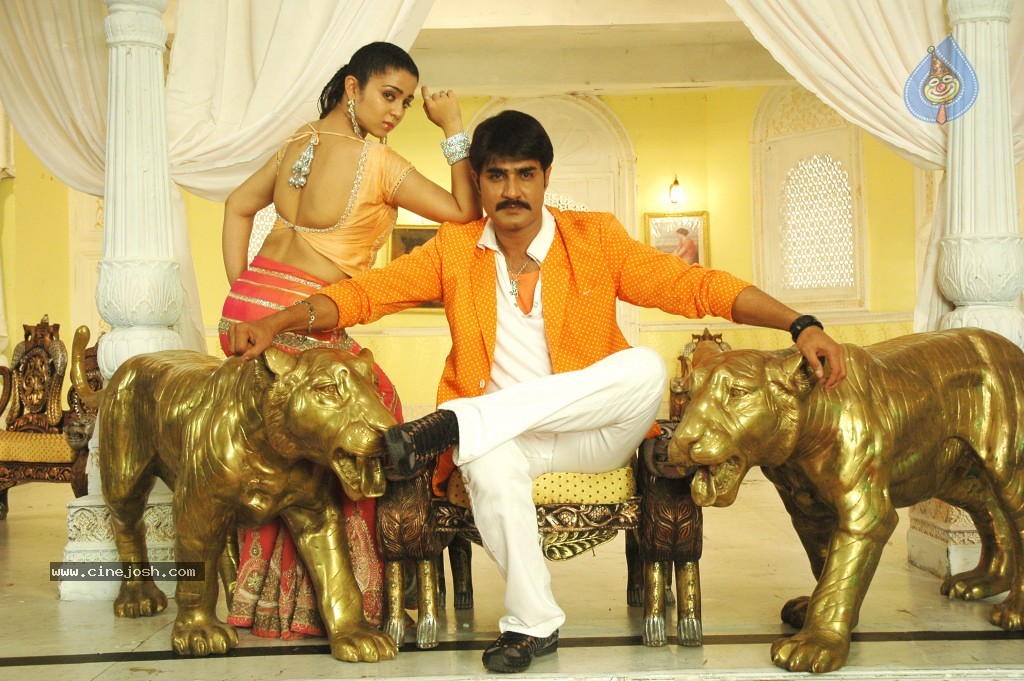 Sevakudu Movie New Stills - 18 / 24 photos