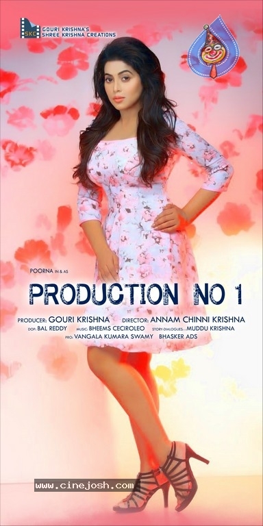 Shree Krishna Creation Production No1 Movie Posters - 3 / 3 photos
