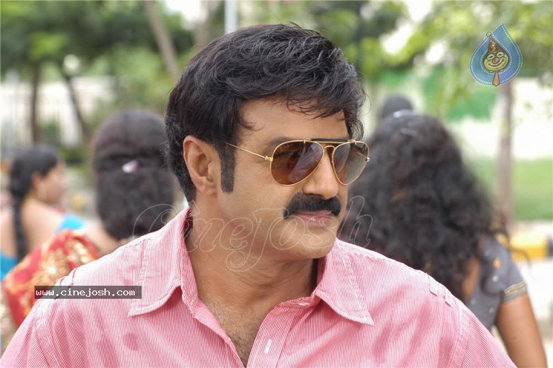 Simha Movie New Stills (CineJosh Exclusive) - 5 / 52 photos