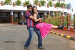 Anarkali Movie New Stills - 8 of 11