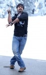 Baadshah Latest Gallery - 11 of 15