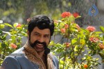 Balakrishna's Simha Movie Latest Gallery - 39 of 40