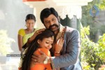 Balakrishna's Simha Movie New Stills - 5 of 9