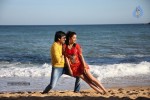 Balupu Movie New Photos - 9 of 12