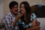 Bhale Mogudu Bhale Pellam Movie New Stills - 14 of 23