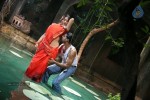 Dhanam Movie Latest Stills - 4 of 27