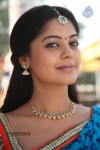 Dhesingu Raja Tamil Movie Photos - 22 of 101