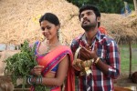 Dhesingu Raja Tamil Movie Photos - 68 of 101