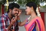 Dhesingu Raja Tamil Movie Photos - 97 of 101