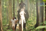 Gajaraju Movie Stills - 1 of 16