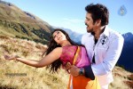 Greeku Veerudu New Stills - 9 of 9