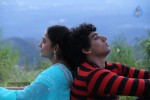 Iddaru Bhamala Kougili Movie Stills  - 9 of 30