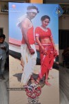Jabaali Movie Hot Pics - 41 of 57