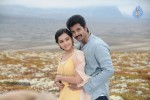 Kaaki Sattai Tamil Movie New Photos - 56 of 90