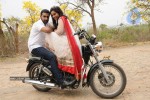 Kakatiyudu Movie Stills and Wallpapers - 30 of 93