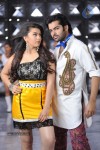 kandireega-movie-latest-stills