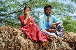 Kannukulle Tamil Movie Photos - 4 of 80