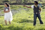 Kasko Movie - Vaibhav,Swetha Basu Stills - 18 of 59