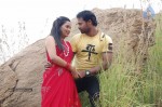 Kayavan Tamil Movie Hot Stills - 52 of 84