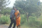 Kayavan Tamil Movie Hot Stills - 81 of 84