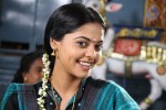 Kedi Billa Killadi Ranga Tamil Movie Photos - 44 of 102
