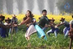 Maan Karate Tamil Movie Stills - 14 of 91