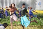 Maan Karate Tamil Movie Stills - 36 of 91