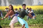 Maan Karate Tamil Movie Stills - 79 of 91