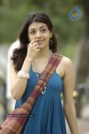 Maaveeran Tamil Movie New Stills - 68 of 88