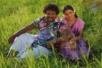 Mayavaram Tamil Movie Hot Stills - 12 of 41