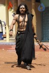 Nagarjuna Stills in Jagadguru Adi Shankara Movie - 12 of 20