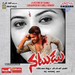 Natudu Movie Posters - 1 of 9