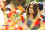 Nenu Naa Rakshasi Movie Latest Stills - 13 of 27