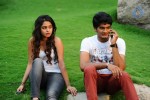 Nuvve Naa Bangaram Movie Pics - 8 of 13