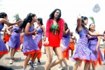 Pandavulu Movie Hot Stills - 28 of 45