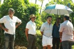 papanasam-first-look-n-working-stills