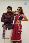 Pappali Tamil Movie Hot Stills - 7 of 39