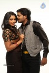 Pappali Tamil Movie Hot Stills - 19 of 39