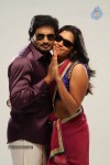 Pappali Tamil Movie New Stills - 8 of 19