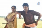 Pattikattu Mappillai Tamil Movie Stills - 43 of 57