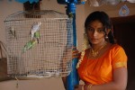 Pattikattu Mappillai Tamil Movie Stills - 44 of 57