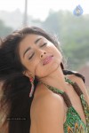 Pavitra Movie Latest Photos - 16 of 28