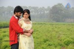 Pilla Zamindar Movie New Stills - 5 of 19